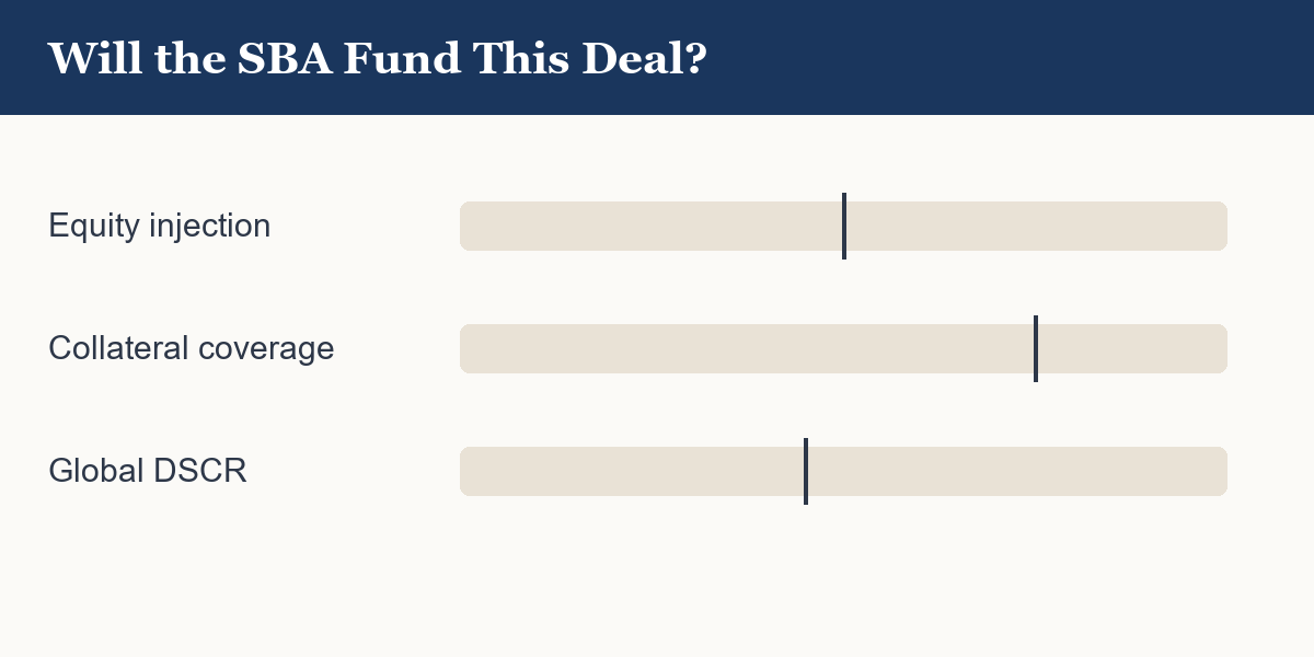Animation: the kit scores equity injection, collateral, and DSCR against their thresholds and returns a financeability verdict.